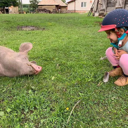 Farmaobeckov Sk Apartment *