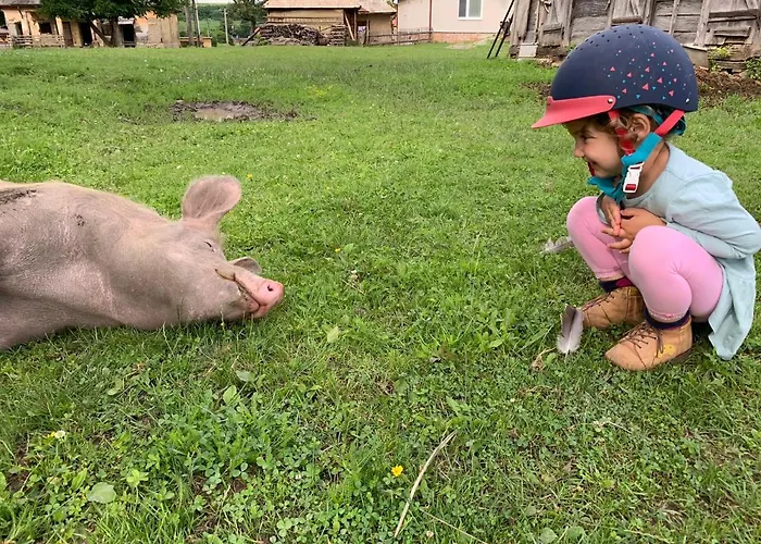 Farmaobeckov Sk Apartmán *